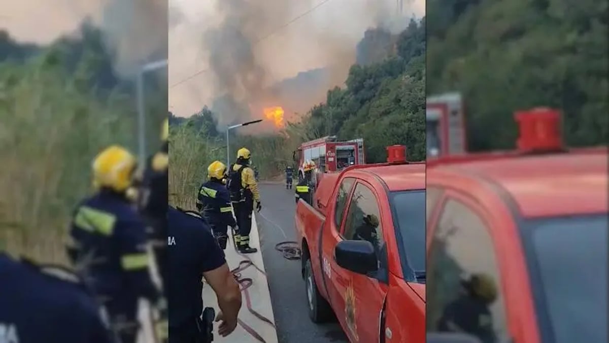 Φωτιά στα Σελλιά Ρεθύμνου: Ελεύθερος με εγγύηση 10.000 ευρώ ο 35χρονος Ισραηλινός για τη μη χρήση ψησταριάς σε περίπτωση ανέμων