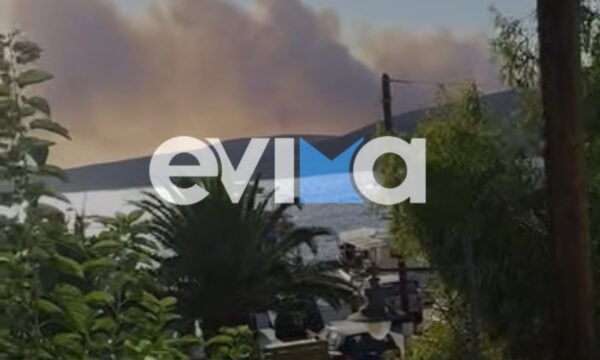 Φωτιά στη Σκύρο: Μάχη σε δύο μέτωπα με ανέμους άνω των 7 μποφόρ – Βελτιωμένη η εικόνα