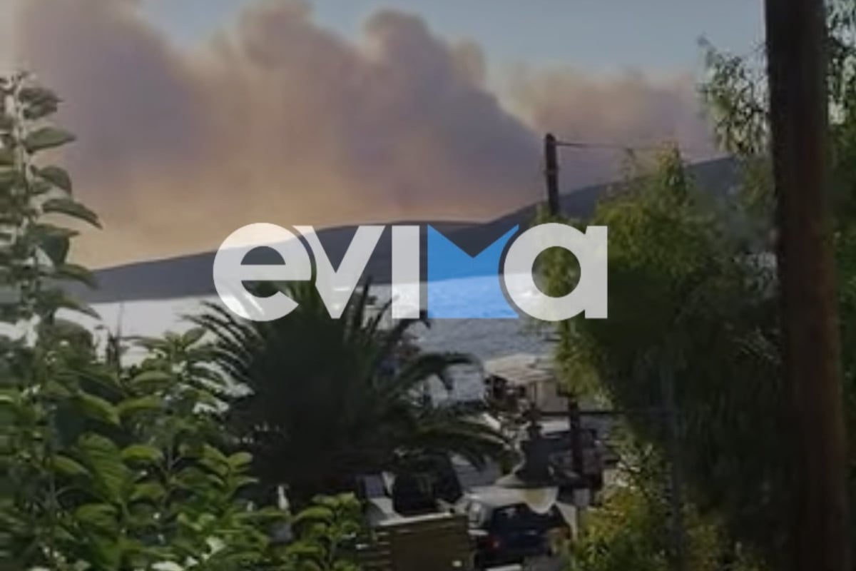 Φωτιά στη Σκύρο: Μάχη σε δύο μέτωπα με ανέμους άνω των 7 μποφόρ – Βελτιωμένη η εικόνα