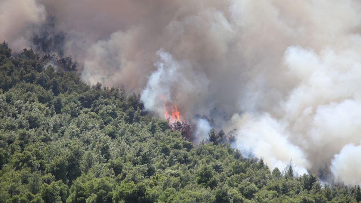Φωτιά σε Βοιωτία και Αττική: Οι δύο συλληφθέντες στον εισαγγελέα της Θήβας 1 Φωτιά σε Βοιωτία και Αττική: Οι δύο συλληφθέντες στον εισαγγελέα της Θήβας