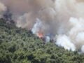 Φωτιά σε Βοιωτία και Αττική: Οι δύο συλληφθέντες στον εισαγγελέα της Θήβας