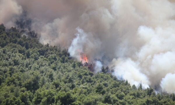 Φωτιά σε Βοιωτία και Αττική: Οι δύο συλληφθέντες στον εισαγγελέα της Θήβας