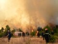 Φωτιά στην Βοιωτία: Στον ανακριτή οι δύο συλληφθέντες, αντιμέτωποι με τέσσερα κακουργήματα