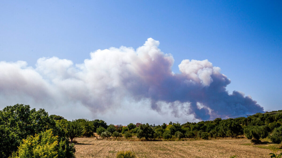 Χαλκιδική: Κυκλοφοριακές ρυθμίσεις τον Δεκαπενταύγουστο λόγω πολύ υψηλού κινδύνου πυρκαγιάς 1 Χαλκιδική: Κυκλοφοριακές ρυθμίσεις τον Δεκαπενταύγουστο λόγω πολύ υψηλού κινδύνου πυρκαγιάς