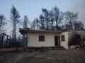 Φωτιά στη Χαλκιδική: Το «ευχαριστώ» του προέδρου Ιατρικού Συλλόγου σε εθελοντές και πυροσβέστες – «Θέλω να κρατήσω αυτές τις εικόνες»