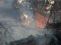 Φωτιά στην Χαλκιδική: Ξεκίνησαν οι αιτήσεις κρατικής αρωγής για τις πυρόπληκτες επιχειρήσεις – Οδηγίες βήμα-βήμα