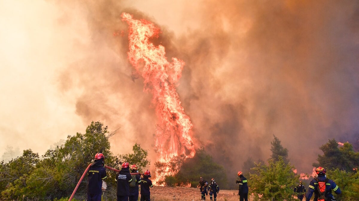 Φωτιά σε Βίλια και Μέγαρα, πτώση δύο ελικοπτέρων στην Ψάθα: Μάχη με τις φλόγες στα πύρινα μέτωπα 1 Φωτιά σε Βίλια και Μέγαρα, πτώση δύο ελικοπτέρων στην Ψάθα: Μάχη με τις φλόγες στα πύρινα μέτωπα