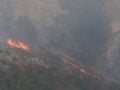 Φωτιά στην Κάλυμνο: «Είναι η τέταρτη στην ίδια περιοχή φέτος, κάτι δεν πάει καλά», λέει ο δήμαρχος