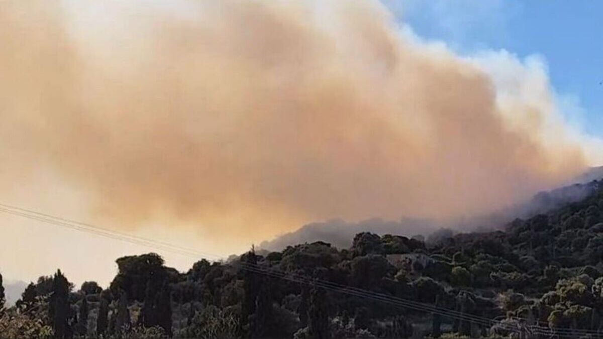 Φωτιά στην Κάρυστο: Η στιγμή που ξεσπά το πύρινο μέτωπο 1 Φωτιά στην Κάρυστο: Η στιγμή που ξεσπά το πύρινο μέτωπο