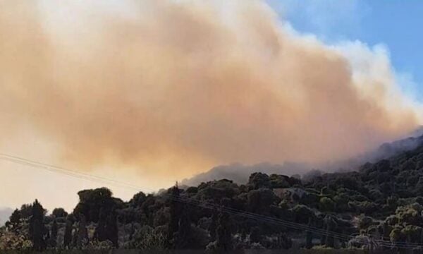 Φωτιά στην Κάρυστο: Η στιγμή που ξεσπά το πύρινο μέτωπο