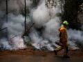 Γαλλία: 474 συλλήψεις για εμπρησμούς – 11.000 στρέμματα κάηκαν στην περιοχή Λαντ