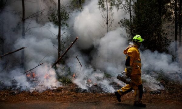 Γαλλία: 474 συλλήψεις για εμπρησμούς – 11.000 στρέμματα κάηκαν στην περιοχή Λαντ