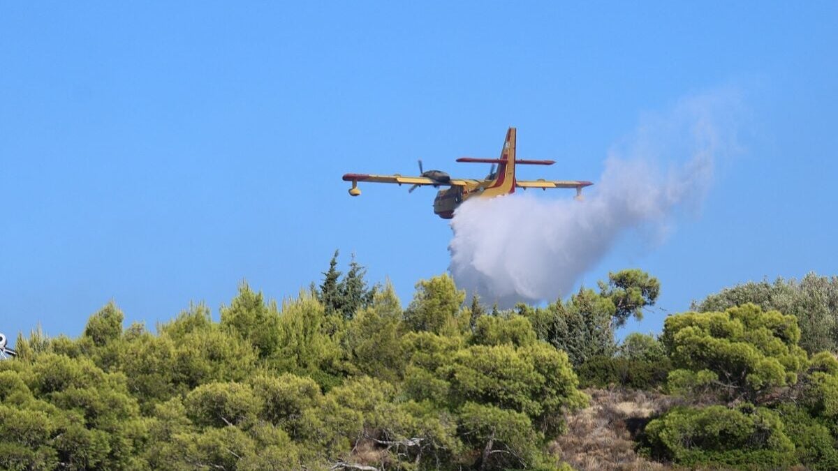 Χειροπέδες σε 40χρονο για εμπρησμό από πρόθεση στην Τροιζήνα – Εξετάζεται η εμπλοκή του σε άλλους 9 εμπρησμούς 1 Χειροπέδες σε 40χρονο για εμπρησμό από πρόθεση στην Τροιζήνα – Εξετάζεται η εμπλοκή του σε άλλους 9 εμπρησμούς