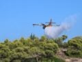 Χειροπέδες σε 40χρονο για φωτιά από πρόθεση στην Τροιζήνα – Εξετάζει η εμπλοκή του σε άλλους 9 εμπρησμούς
