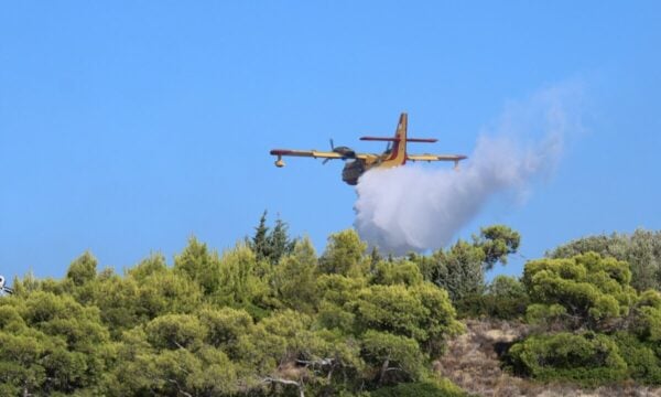 Χειροπέδες σε 40χρονο για εμπρησμό από πρόθεση στην Τροιζήνα – Εξετάζεται η εμπλοκή του σε άλλους 9 εμπρησμούς
