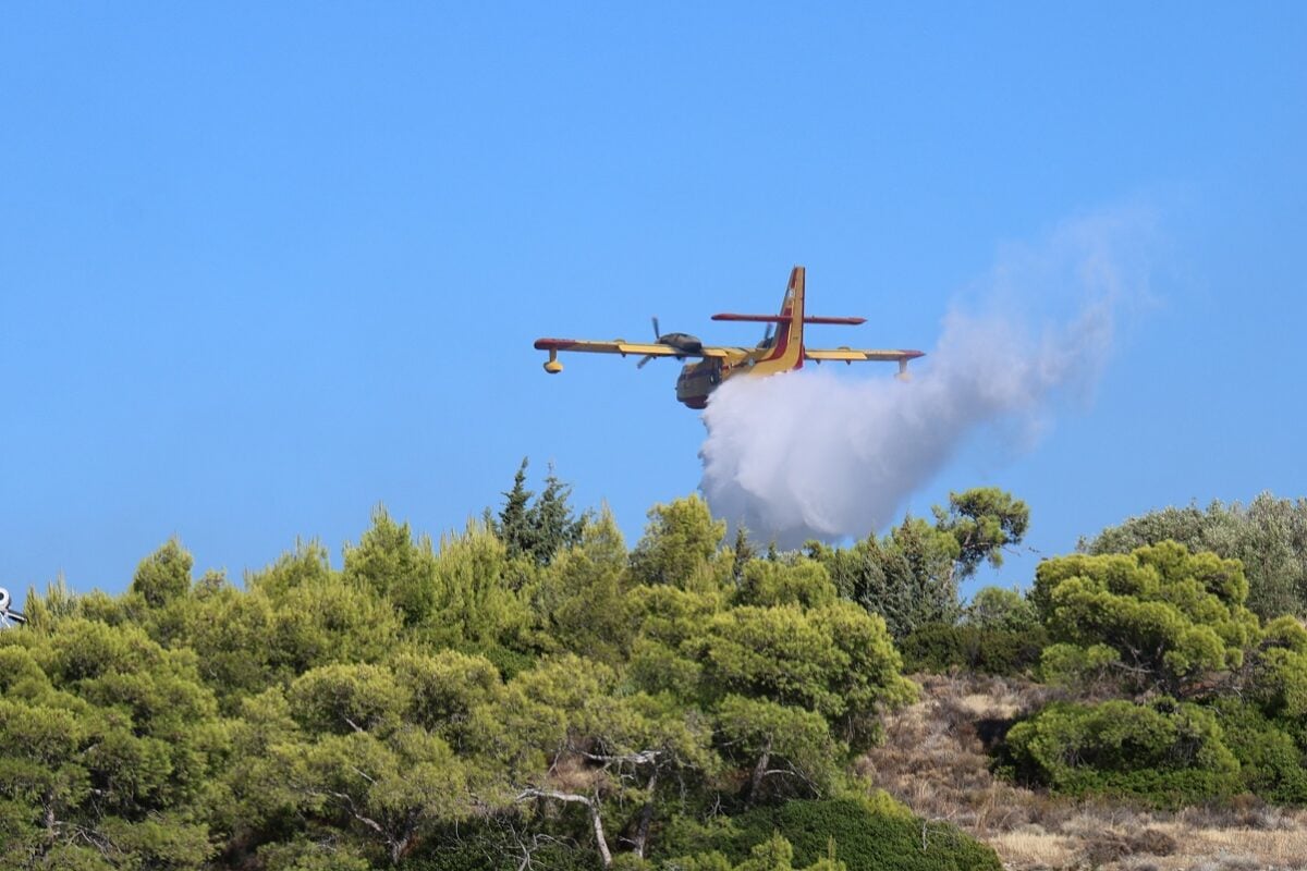 Χειροπέδες σε 40χρονο για εμπρησμό από πρόθεση στην Τροιζήνα – Εξετάζεται η εμπλοκή του σε άλλους 9 εμπρησμούς