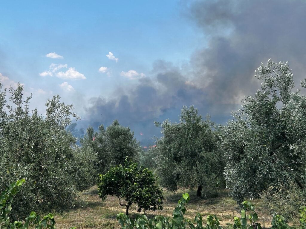 Φωτιά στο Αγρίνιο στην περιοχή Μεγάλη Χώρα: Απειλείται φωτοβολταϊκό πάρκο – Αεροσκάφη παλεύουν με τις φλόγες