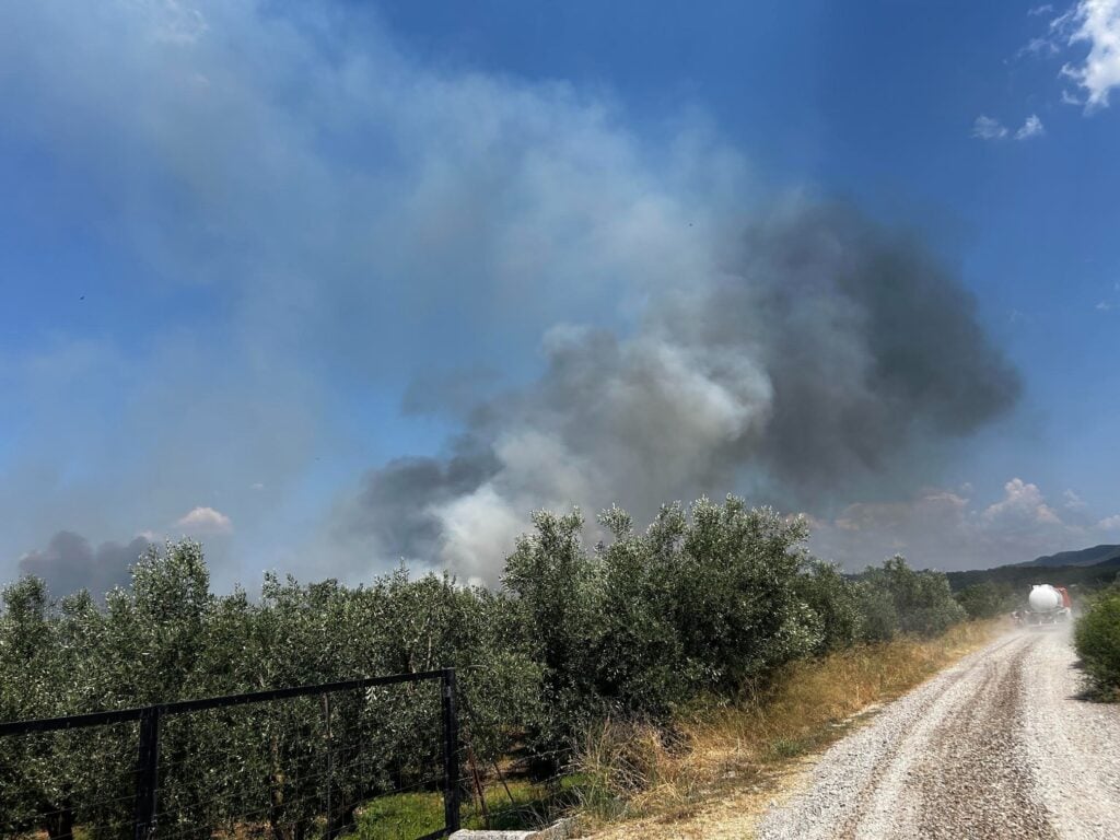 Φωτιά στο Αγρίνιο στην περιοχή Μεγάλη Χώρα: Απειλείται φωτοβολταϊκό πάρκο – Αεροσκάφη παλεύουν με τις φλόγες