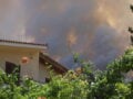 Φωτιά στη Βοιωτία: Αναστολή λειτουργίας του αιολικού πάρκου – Προφυλακίστηκαν οι τρεις κατηγορούμενοι