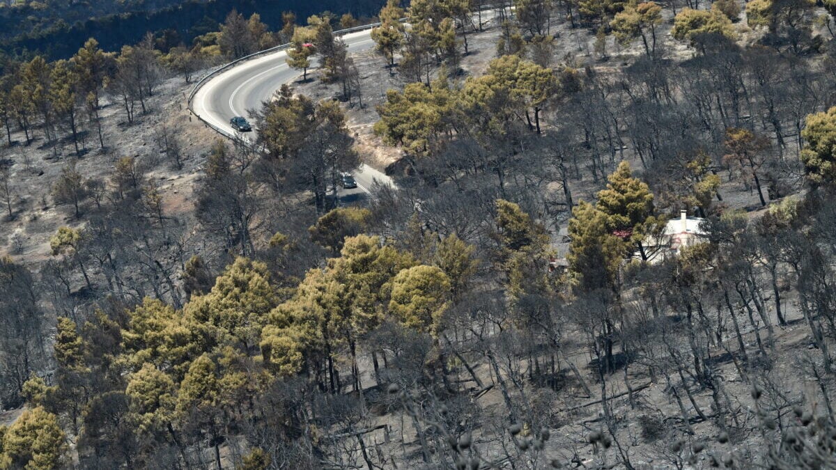 Φωτιά στη δυτική Αττική: Η επόμενη ημέρα μετά την καταστροφή – αναδάσωση και αγώνας πριν τις βροχές 4 Φωτιά στη δυτική Αττική: Η επόμενη ημέρα μετά την καταστροφή – αναδάσωση και αγώνας πριν τις βροχές