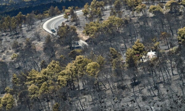 Φωτιά στη δυτική Αττική: Η επόμενη ημέρα μετά την καταστροφή – αναδάσωση και αγώνας πριν τις βροχές