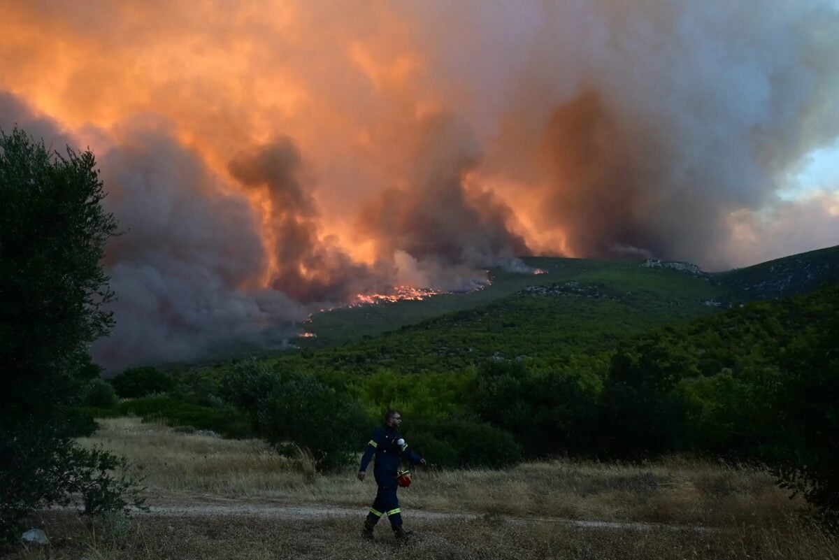 Φωτιά στη Νέα Πέτρα Σερρών: Ισχυρές δυνάμεις στο σημείο