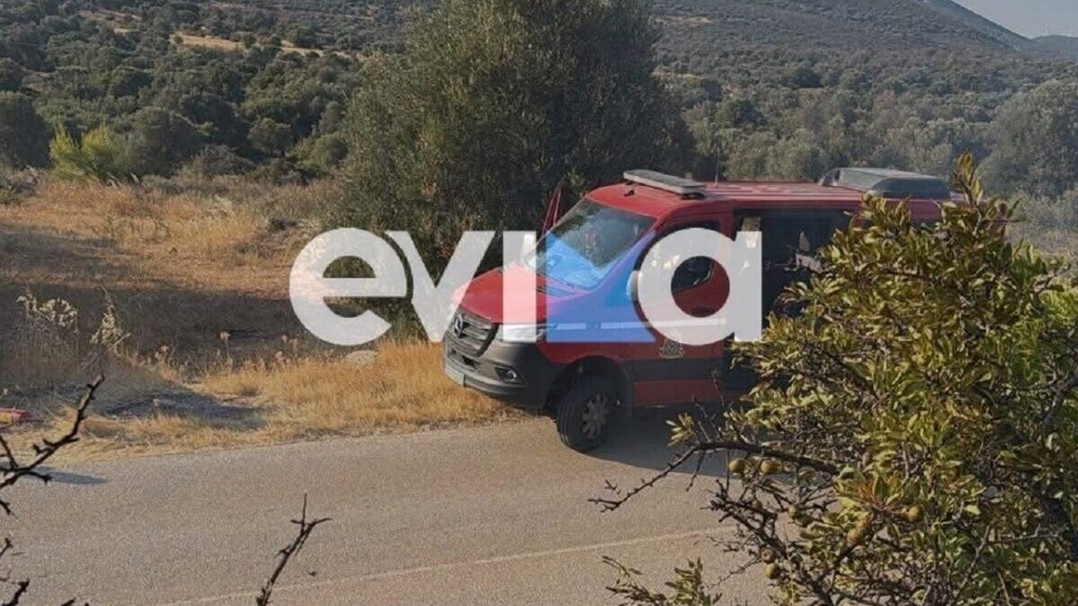 Φωτιά στην Εύβοια: Ισχυρές δυνάμεις στο σημείο στην περιοχή Αλμυροπόταμος 1 Φωτιά στην Εύβοια: Ισχυρές δυνάμεις στο σημείο στην περιοχή Αλμυροπόταμος