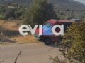 Φωτιά στην Εύβοια: Ισχυρές δυνάμεις στο σημείο στην περιοχή Αλμυροπόταμος