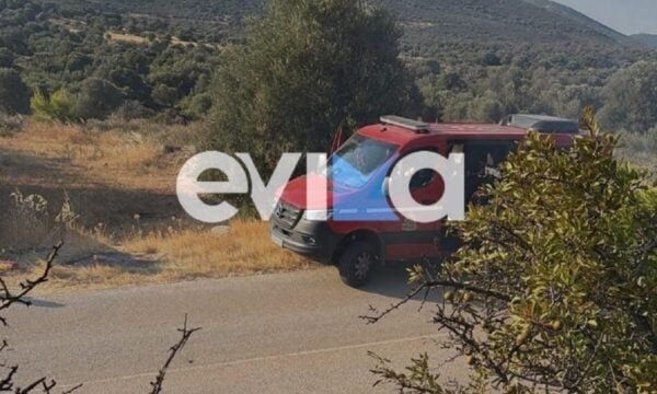 Φωτιά στην Εύβοια: Ισχυρές δυνάμεις στο σημείο στην περιοχή Αλμυροπόταμος
