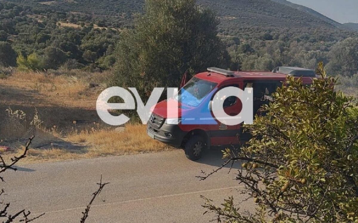 Φωτιά στην Εύβοια: Ισχυρές δυνάμεις στο σημείο στην περιοχή Αλμυροπόταμος
