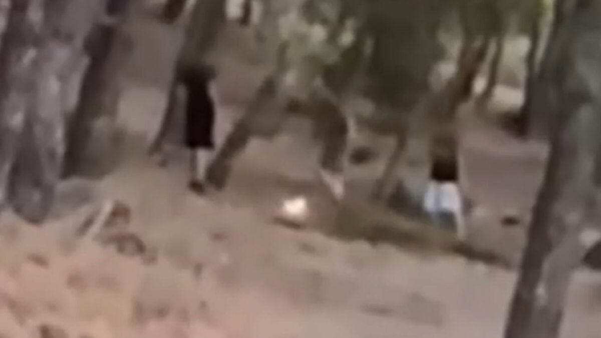 Εντοπίστηκαν οι 13χρονοι που έπαιζαν με τη φωτιά σε δάσος στην Πεντέλη για challenge στα social media 1 Εντοπίστηκαν οι 13χρονοι που έπαιζαν με τη φωτιά σε δάσος στην Πεντέλη για challenge στα social media