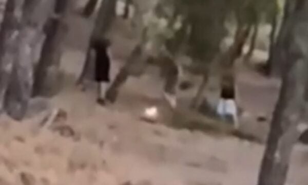 Εντοπίστηκαν οι 13χρονοι που έπαιζαν με τη φωτιά σε δάσος στην Πεντέλη για challenge στα social media