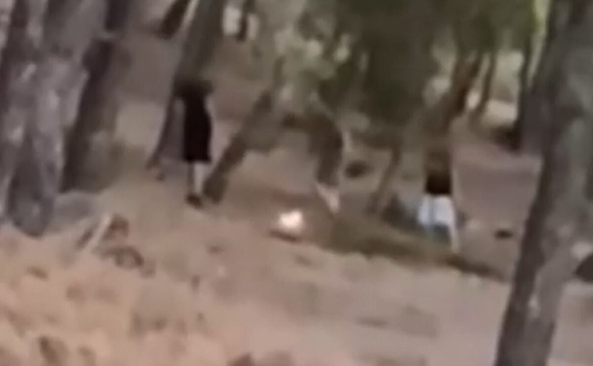 Εντοπίστηκαν οι 13χρονοι που έπαιζαν με τη φωτιά σε δάσος στην Πεντέλη για challenge στα social media