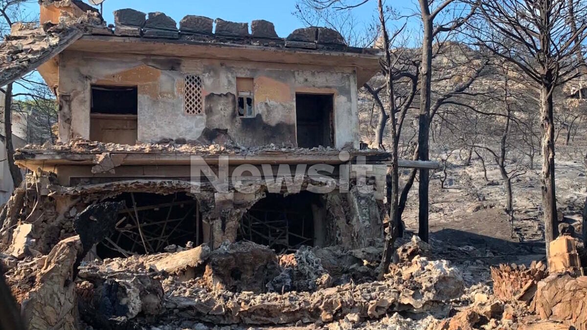 Φωτιά στη Σαλαμίνα: Η μάχη ενός ζευγαριού όταν οι φλόγες έφτασαν σπίτι τους – «Χωρίς τα ζώα μου δεν φεύγω» 1 Φωτιά στη Σαλαμίνα: Η μάχη ενός ζευγαριού όταν οι φλόγες έφτασαν σπίτι τους – «Χωρίς τα ζώα μου δεν φεύγω»