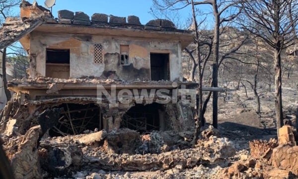 Φωτιά στη Σαλαμίνα: Η μάχη ενός ζευγαριού όταν οι φλόγες έφτασαν σπίτι τους – «Χωρίς τα ζώα μου δεν φεύγω»