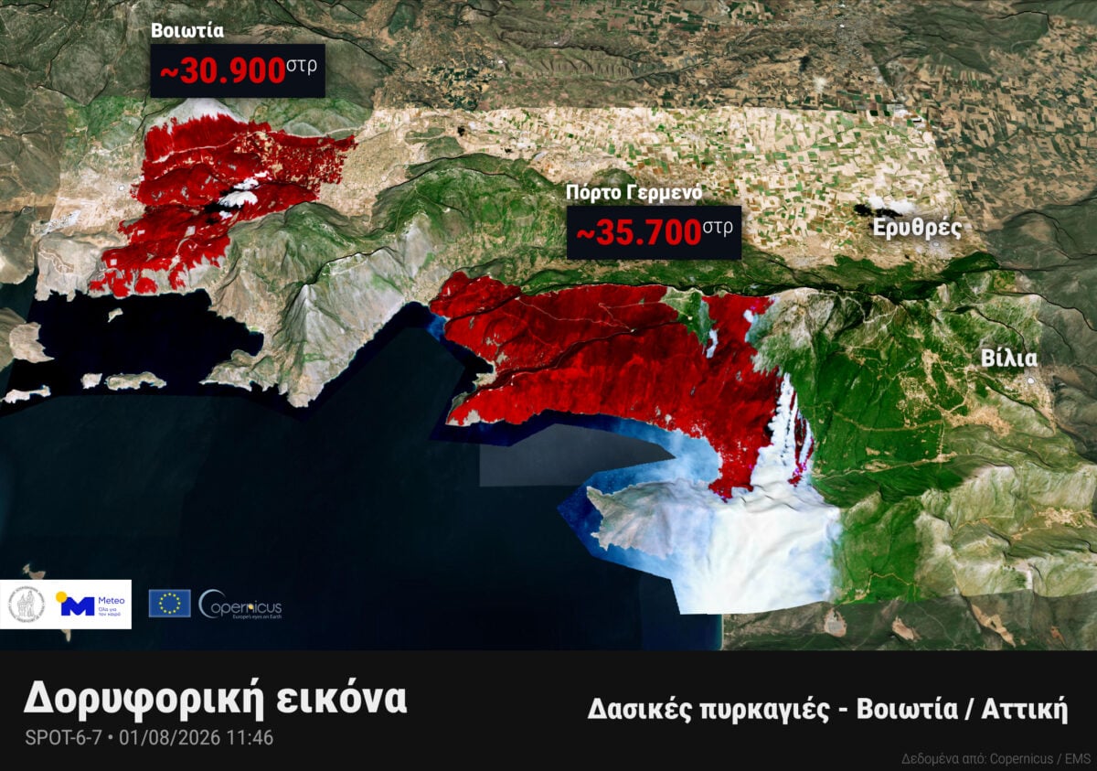 Φωτιά σε Βοιωτία και Αττική: Πάνω από 65.000 στρέμματα καταστράφηκαν – Χάρτης 7 Φωτιά σε Βοιωτία και Αττική: Πάνω από 65.000 στρέμματα καταστράφηκαν – Χάρτης