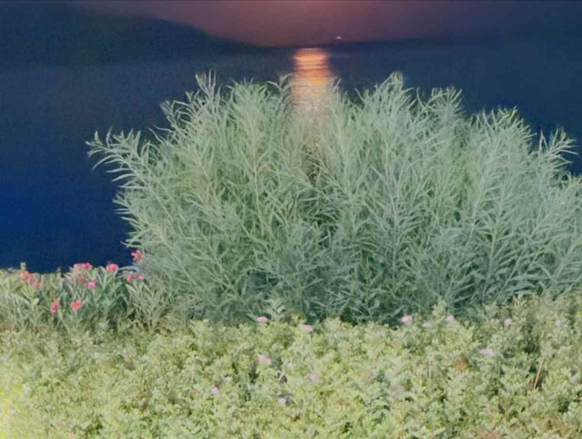 Η ανάρτηση της Ναταλίας Γερμανού από την Κρήτη
