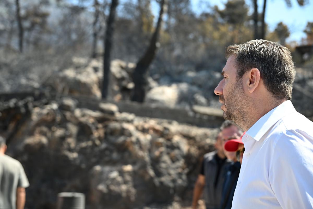 Ανδρουλάκης: Η πολιτική προστασία στη χώρα μας πρέπει να αποκτήσει νέο δόγμα