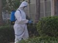 Ιός του Δυτικού Νείλου: Περισσότερα από το αναμενόμενο τα κρούσματα στην Αττική – Τα μέτρα προφύλαξης