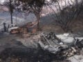 Χαλκιδική: 2.480 τα στρέμματα που έγιναν στάχτη από την μεγάλη πυρκαγιά στη Σίβηρη – Τα 1.388 ήταν δασική έκταση