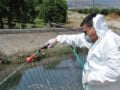 Ιός του Δυτικού Νείλου: Δεύτερη μετά την Ιταλία η Ελλάδα σε κρούσματα – Το 66% στην Αττική