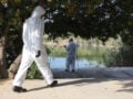 Ιός του Δυτικού Νείλου: 75 νέα κρούσματα την τελευταία εβδομάδα, στους 19 οι θάνατοι – «Μέχρι μέσα Σεπτεμβρίου θα έχουμε αρκετά», λέει ο Βασιλακόπουλος