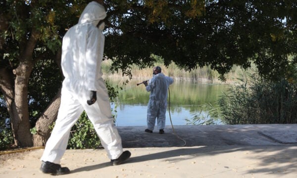 Ιός του Δυτικού Νείλου: 75 νέα κρούσματα την τελευταία εβδομάδα, στους 19 οι θάνατοι – «Μέχρι μέσα Σεπτεμβρίου θα έχουμε αρκετά», λέει ο Βασιλακόπουλος