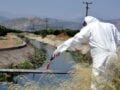 Ιός του Δυτικού Νείλου: «Οι ηλικιωμένοι με υποκείμενα νοσήματα θα πρέπει να είναι πολύ προσεκτικοί» προειδοποιεί ο Θεόδωρος Βασιλακόπουλος