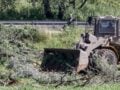 Δυτική Όχθη: Καταγγελίες για νέες ισραηλινές ενέργειες εκρίζωσης δέντρων και κατασχέσεων γης στην Τζενίν