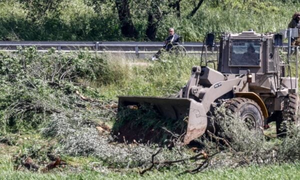 Δυτική Όχθη: Καταγγελίες για ισραηλινές εκρίζωσεις δέντρων και κατασχέσεις γης στην Τζενίν