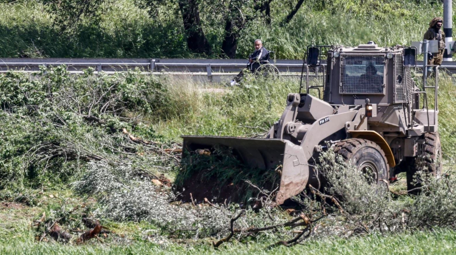Δυτική Όχθη: Καταγγελίες για ισραηλινές εκρίζωσεις δέντρων και κατασχέσεις γης στην Τζενίν