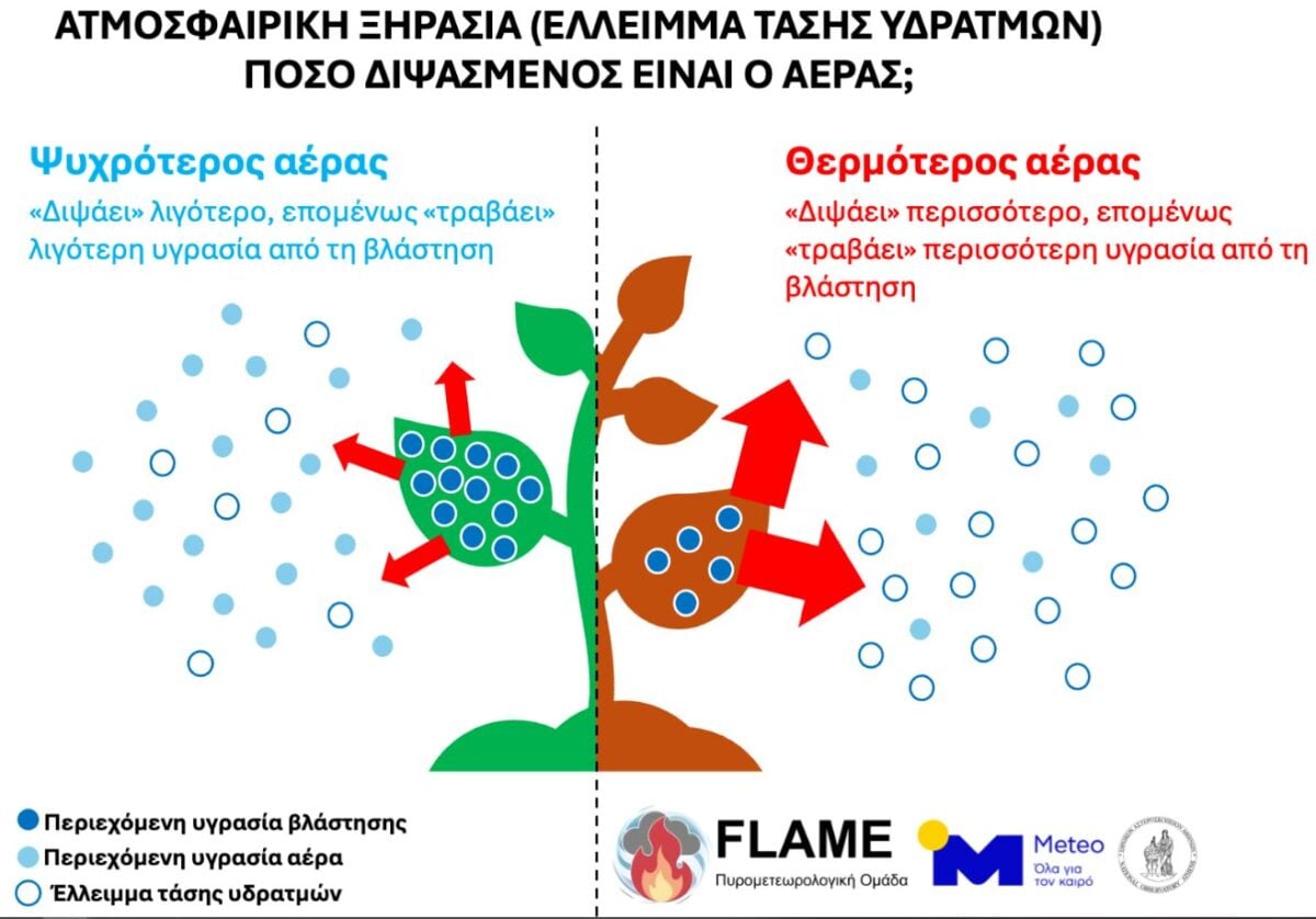 Καύσωνας: Ο ξηρός αέρας αυξάνει τον κίνδυνο φωτιάς – Τι είναι το έλλειμμα τάσης υδρατμών και γιατί ανησυχούν οι μετεωρολόγοι 7 Καύσωνας: Ο ξηρός αέρας αυξάνει τον κίνδυνο φωτιάς – Τι είναι το έλλειμμα τάσης υδρατμών και γιατί ανησυχούν οι μετεωρολόγοι