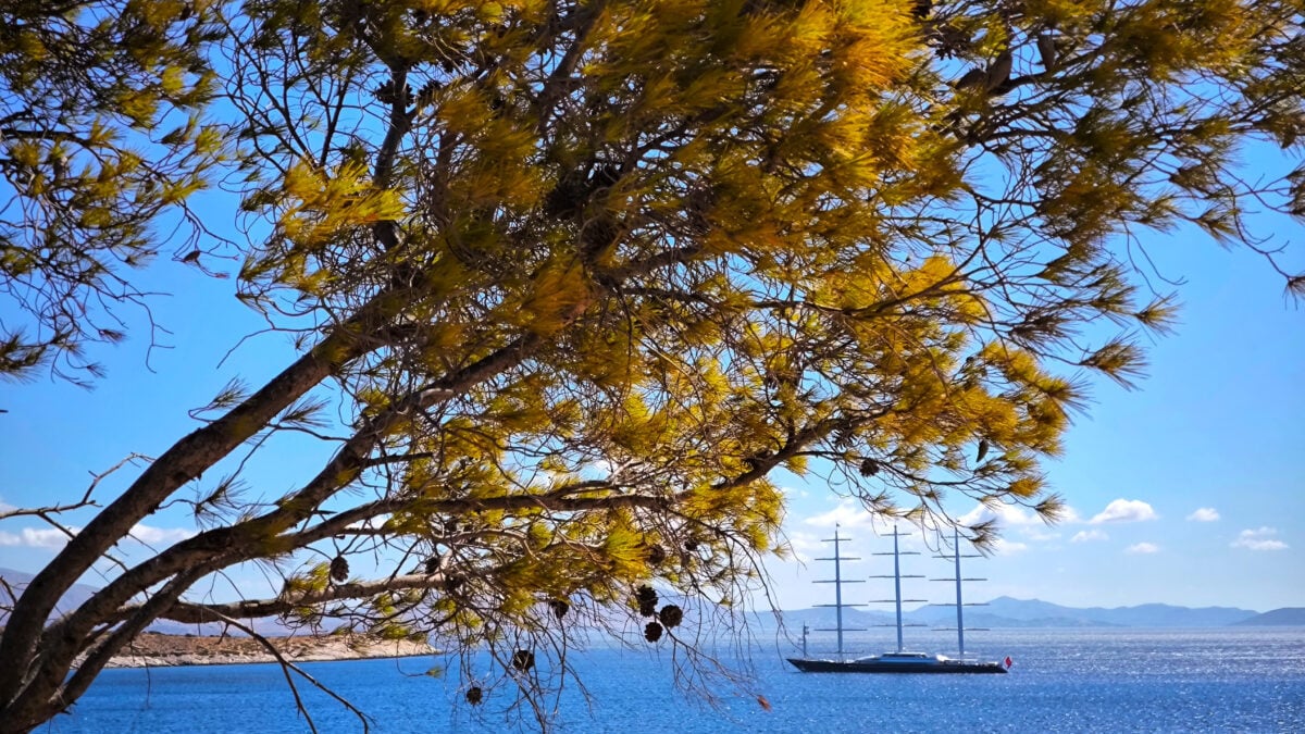 Καιρός σήμερα: 39άρια και ισχυρά μελτέμια έως 8 μποφόρ – Τοπικές καταιγίδες στα ορεινά 1 Καιρός σήμερα: 39άρια και ισχυρά μελτέμια έως 8 μποφόρ – Τοπικές καταιγίδες στα ορεινά