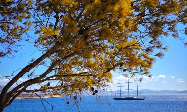 Καιρός σήμερα: 39άρια και ισχυρά μελτέμια έως 8 μποφόρ – Τοπικές καταιγίδες στα ορεινά
